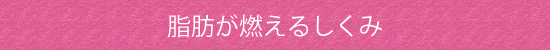 脂肪が燃えるしくみ